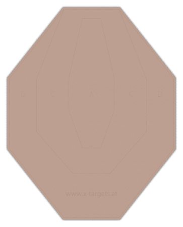 IPSC Classic Target